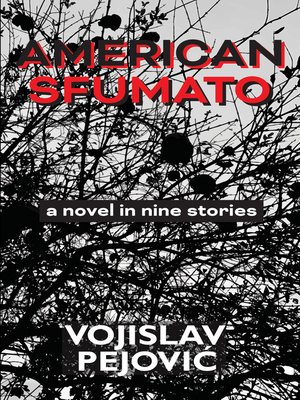 cover image of American Sfumato